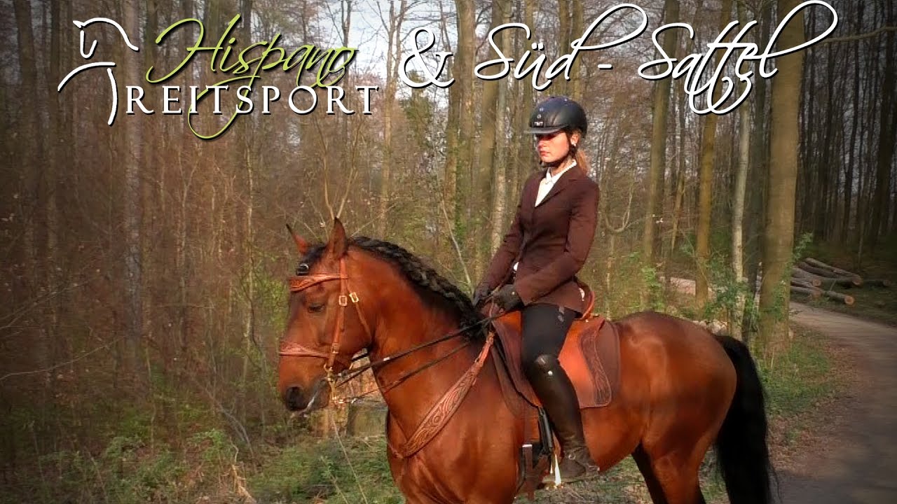 Impuls Decor in Aktion - Stephan Günther von Südsattel und Hispano Reitsport