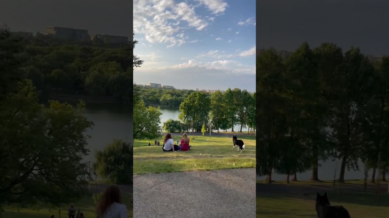 Tineretului Park , Bucharest