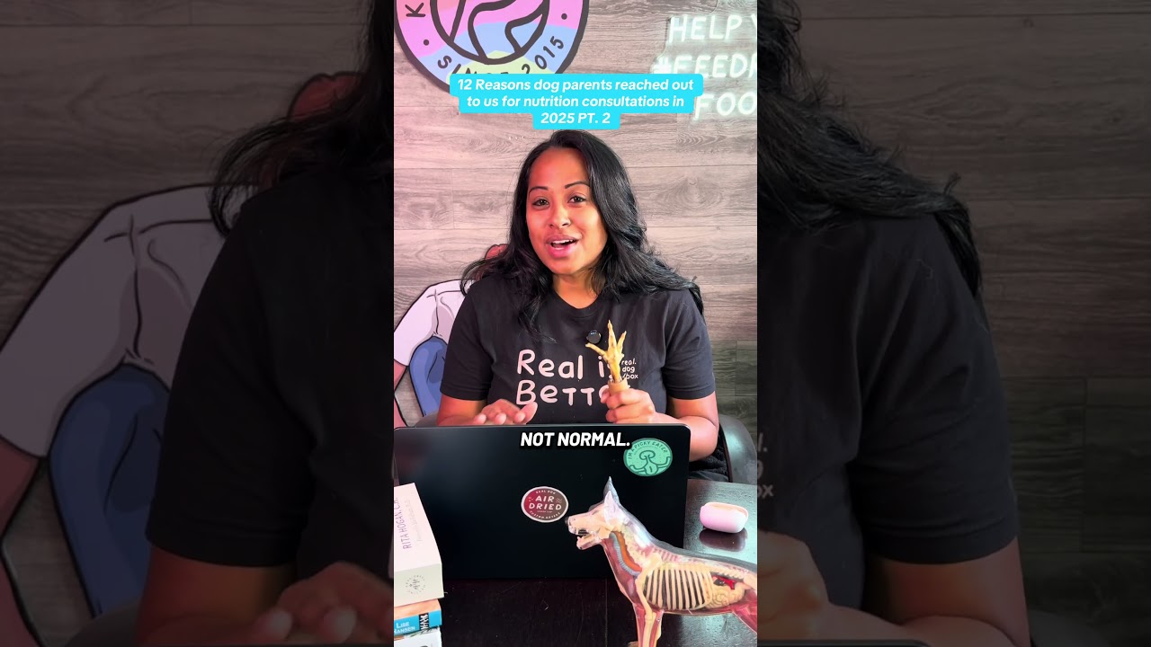 12 Reasons Dog Parents Called Us In 2025!