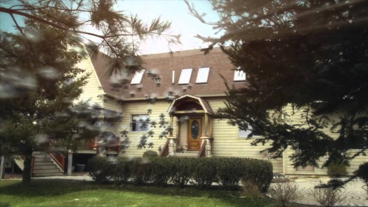 Catseye Pest Control's New Jingle (Extended Commercial)