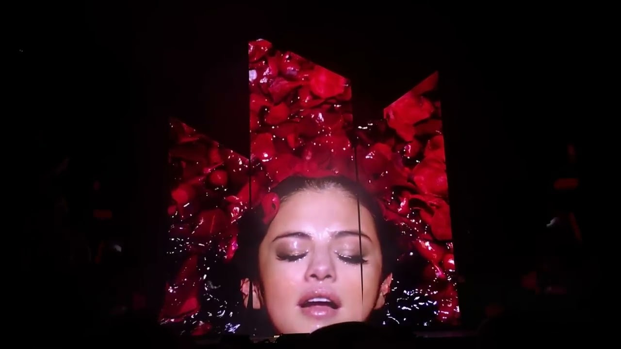 Selena Gomez - Interlude 3 - Revival Tour - 2016-06-28 - Xcel Energy Center; St. Paul
