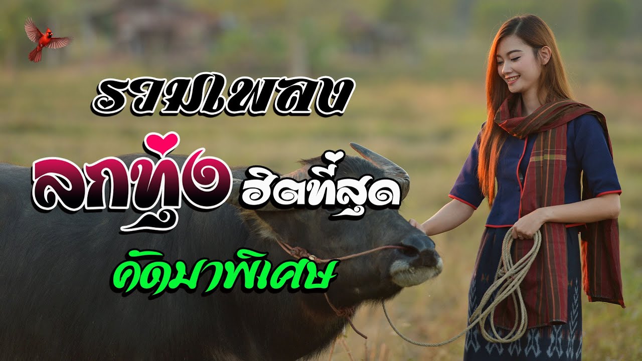 รวมเพลง ลูกทุ่งฮิตที่สุด คัดมาพิเศษ   ลูกทุ่งเพลงเพราะ100%