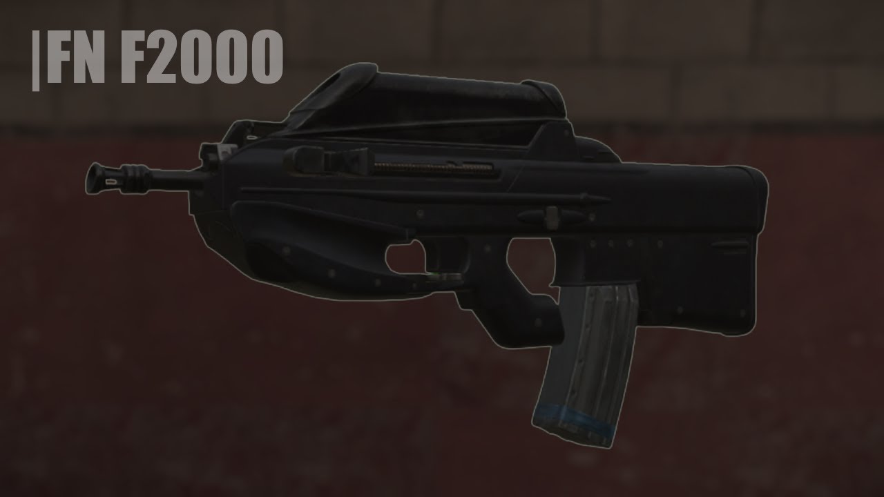 FN F2000 Assault Rifle Demo (STALCRAFT)