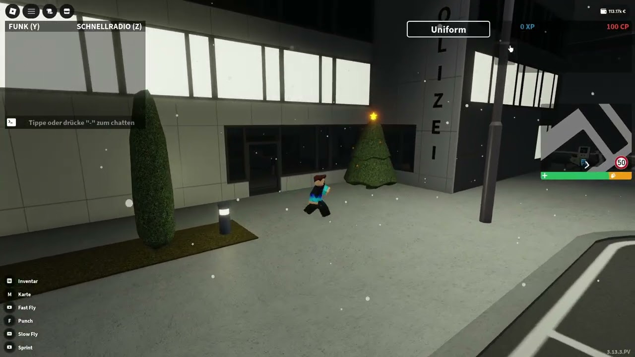 ich zeige meinen nh server