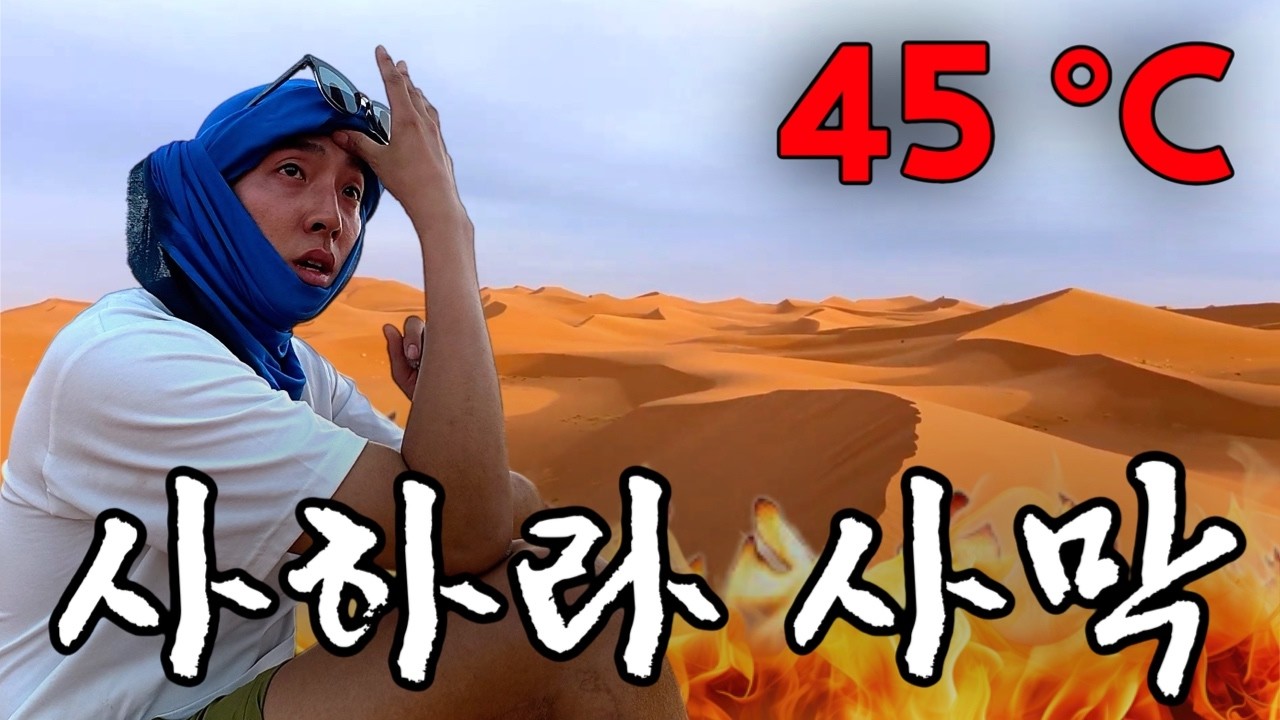 나 혼자 사하라 사막에 가면 생기는일