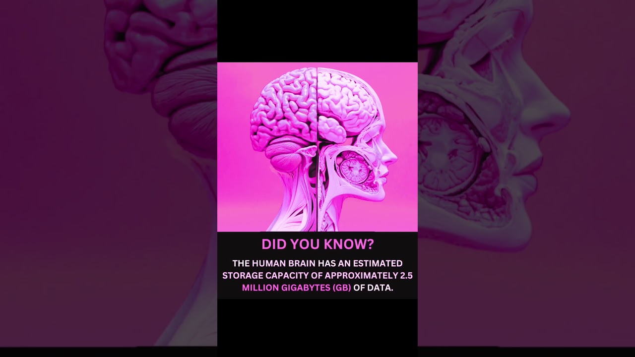 The Human Brain vs Supercomputers: Mind-Blowing Memory Capacity Explained!