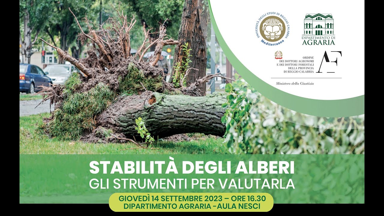 &ldquo;Stabilit&agrave; degli alberi - gli strumenti per valutarla&rdquo;