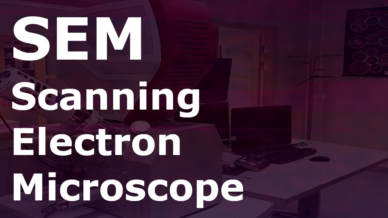 Training session SEM - Pt12