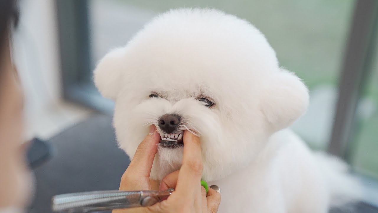 Ты не злишься?