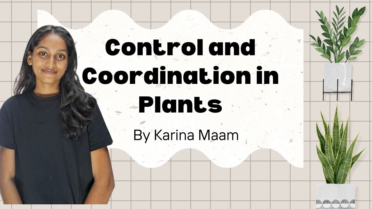 Control and Coordination in Plants 🔥 | NEET Biology | Karina Ma’am#ControlAndCoordination