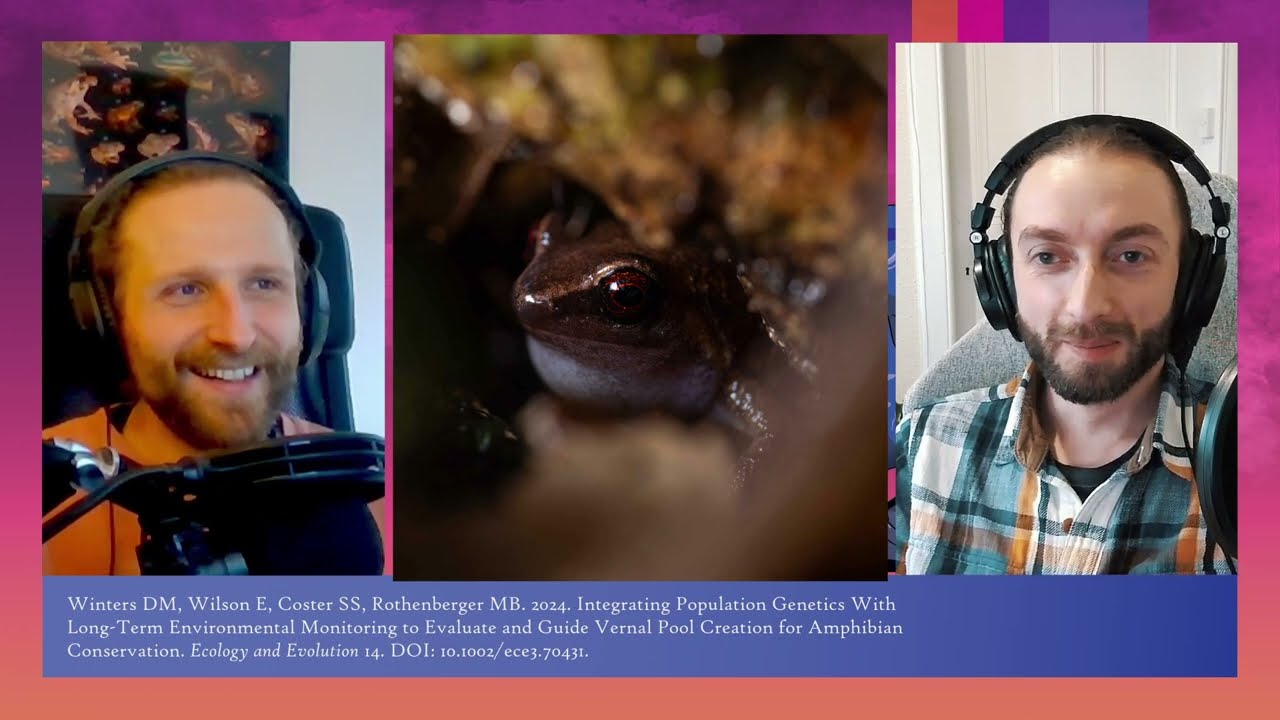 221 Artificial pools can be hazardous for salamanders!