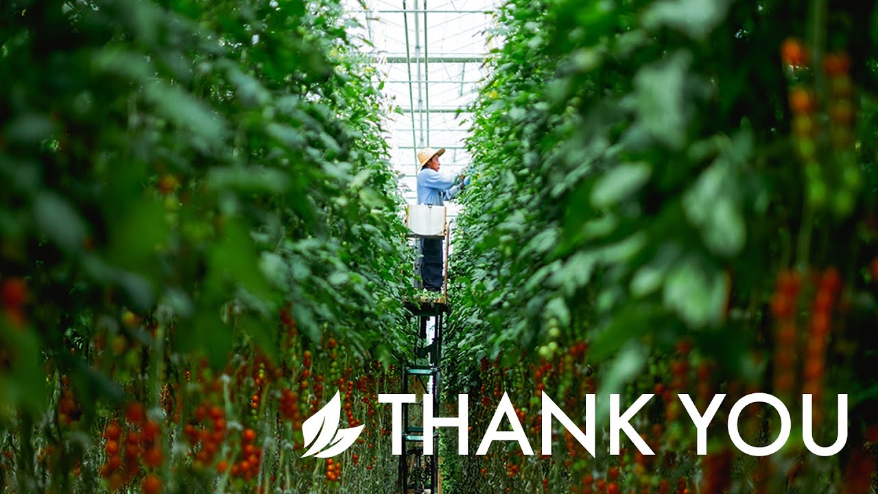 Thank You to The Farm Workers – The Fresh Food Heroes