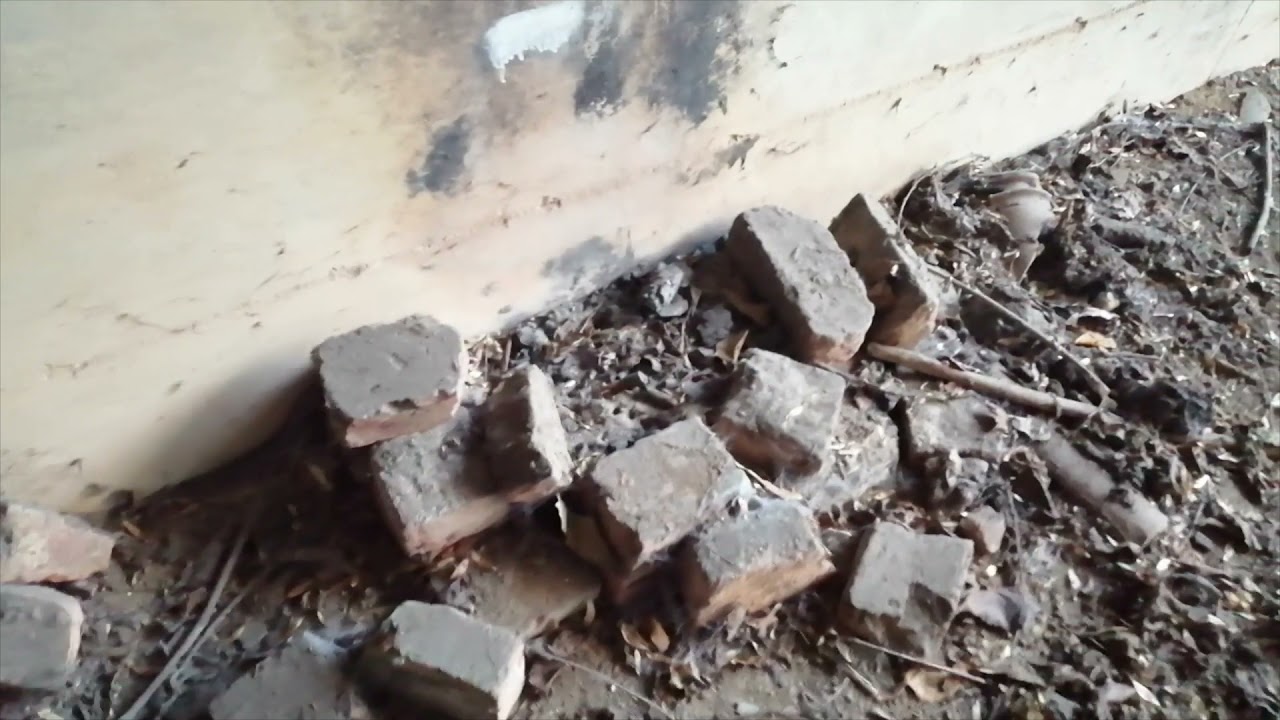 esploriamo una vecchia ferrovia abbandonata