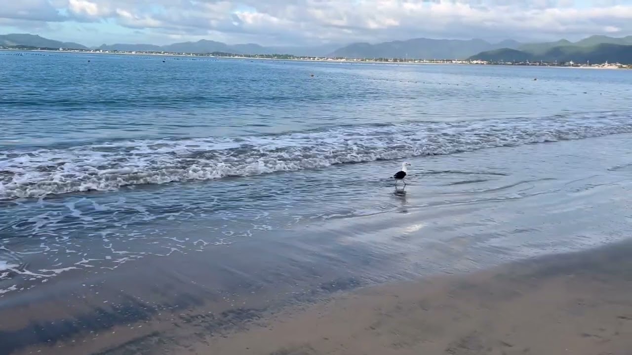 22 de fevereiro de 2026 - Praia da Pinheira 