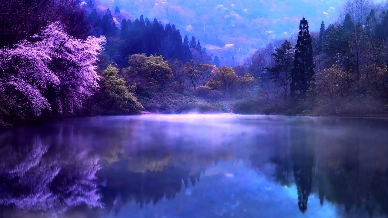 Rahul Boro - The Back of Beyond