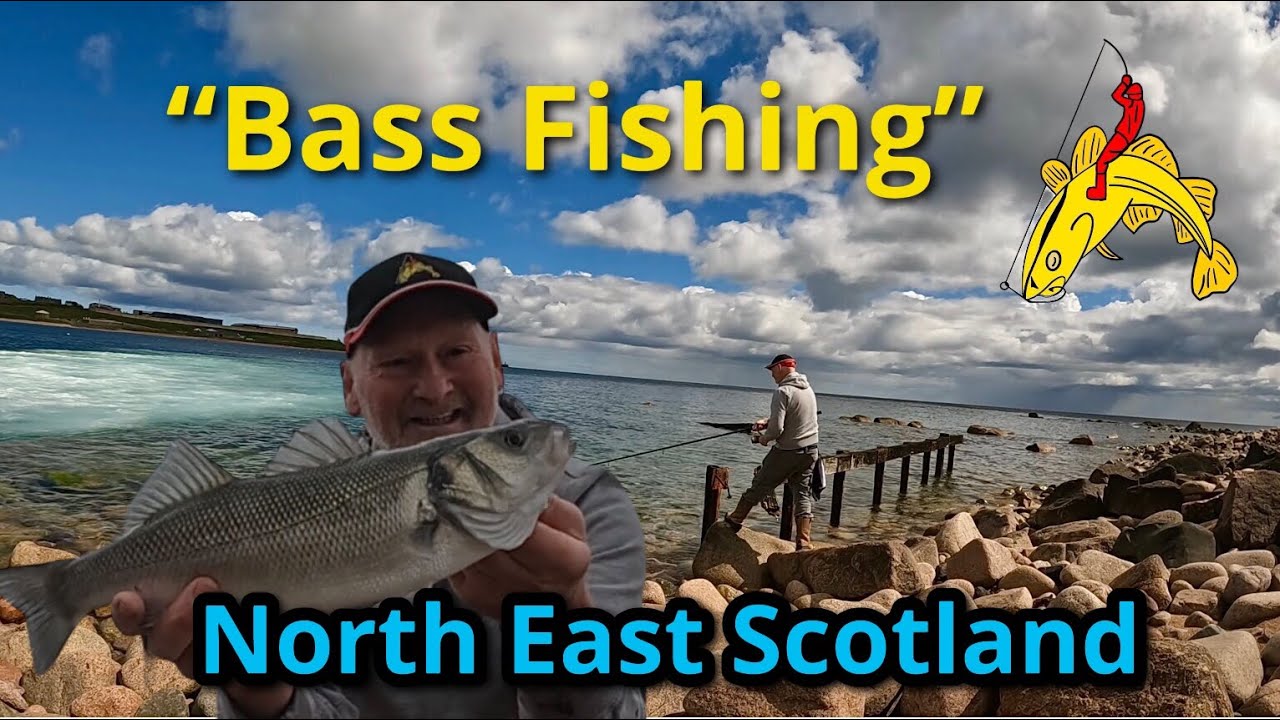 Ловля окуня с Bombarda Aberdeenshire 🎣🐟