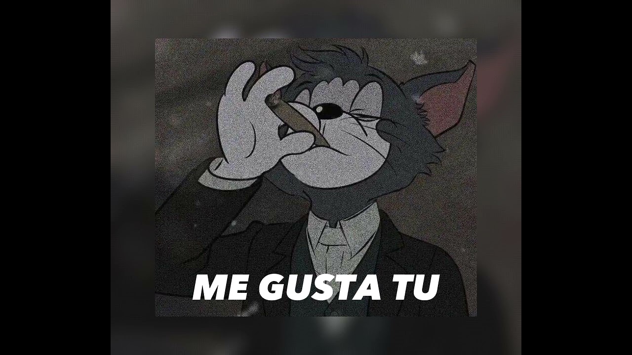 Manu Chao - Me Gusta Tu  Slowed