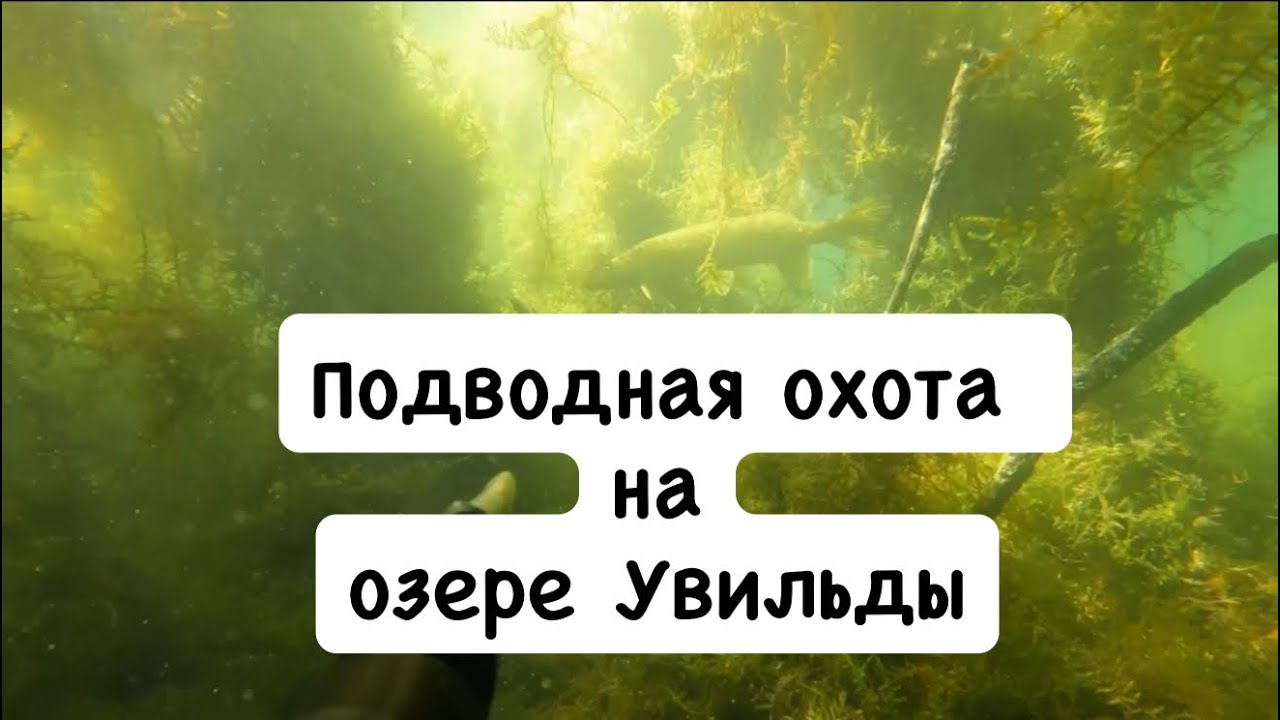 Подводная охота на озере Увильды 