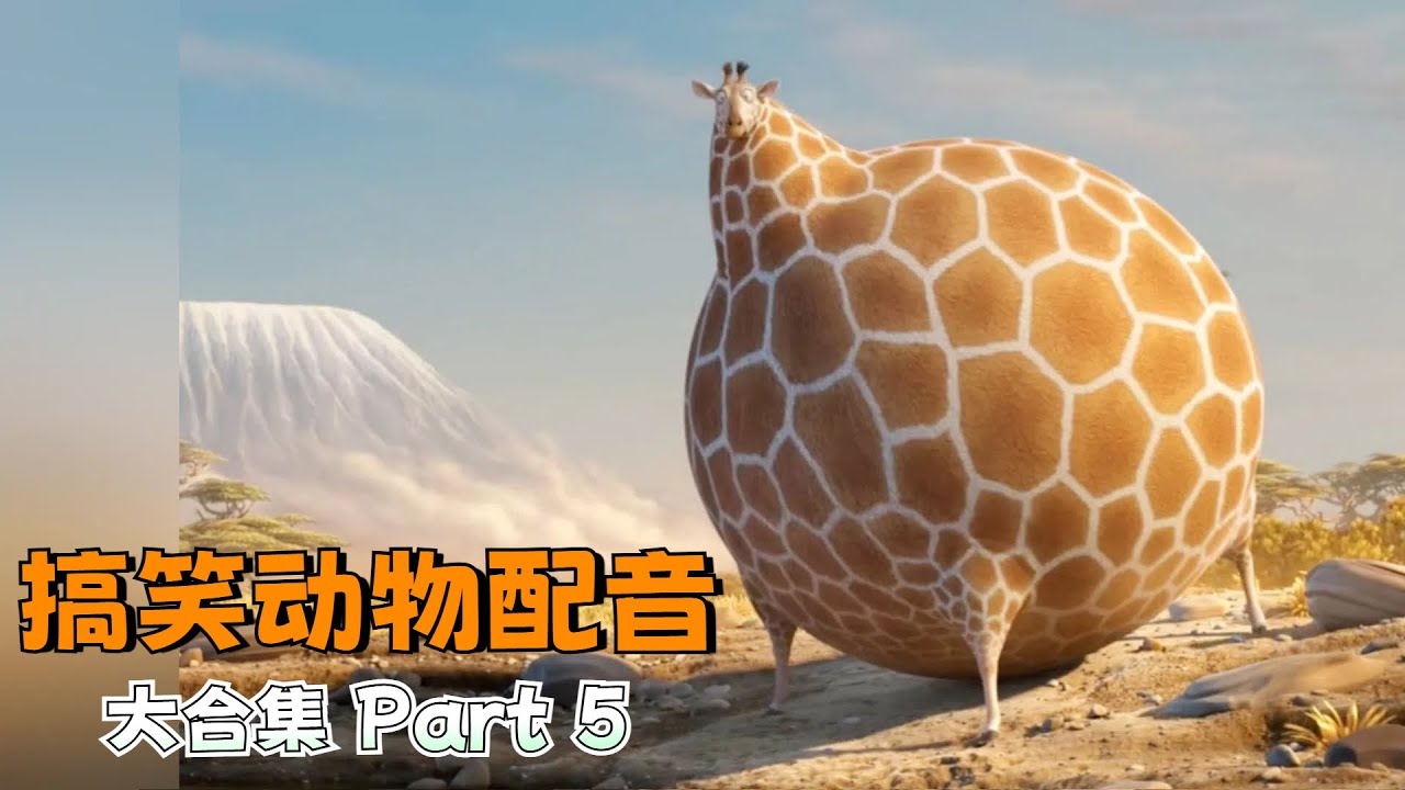 【搞笑动物配音】专治不开心！一次看过瘾140合集篇