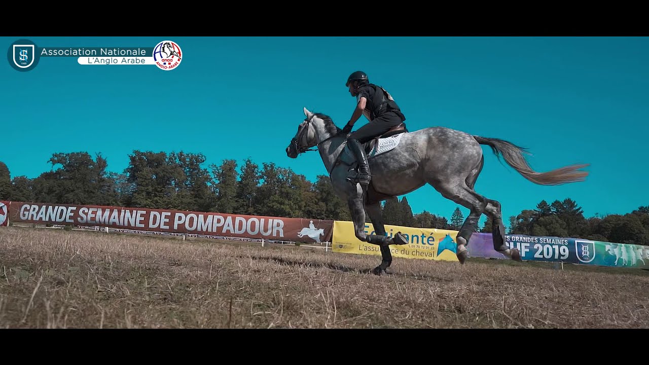 L'Association Nationale Anglo-Arabe - ANAA