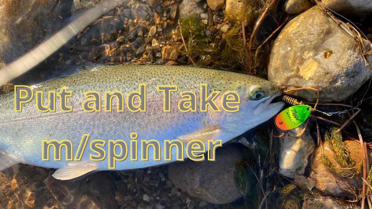 Mjøls Lystfiskeri - Put and Take m/spinner | Erik Egvad Petersen