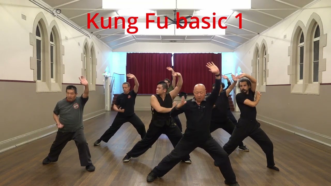 Kung Fu Fundamentals: Building Power Through Stances and Punches 功夫基本功 Kung Fu Basic 1