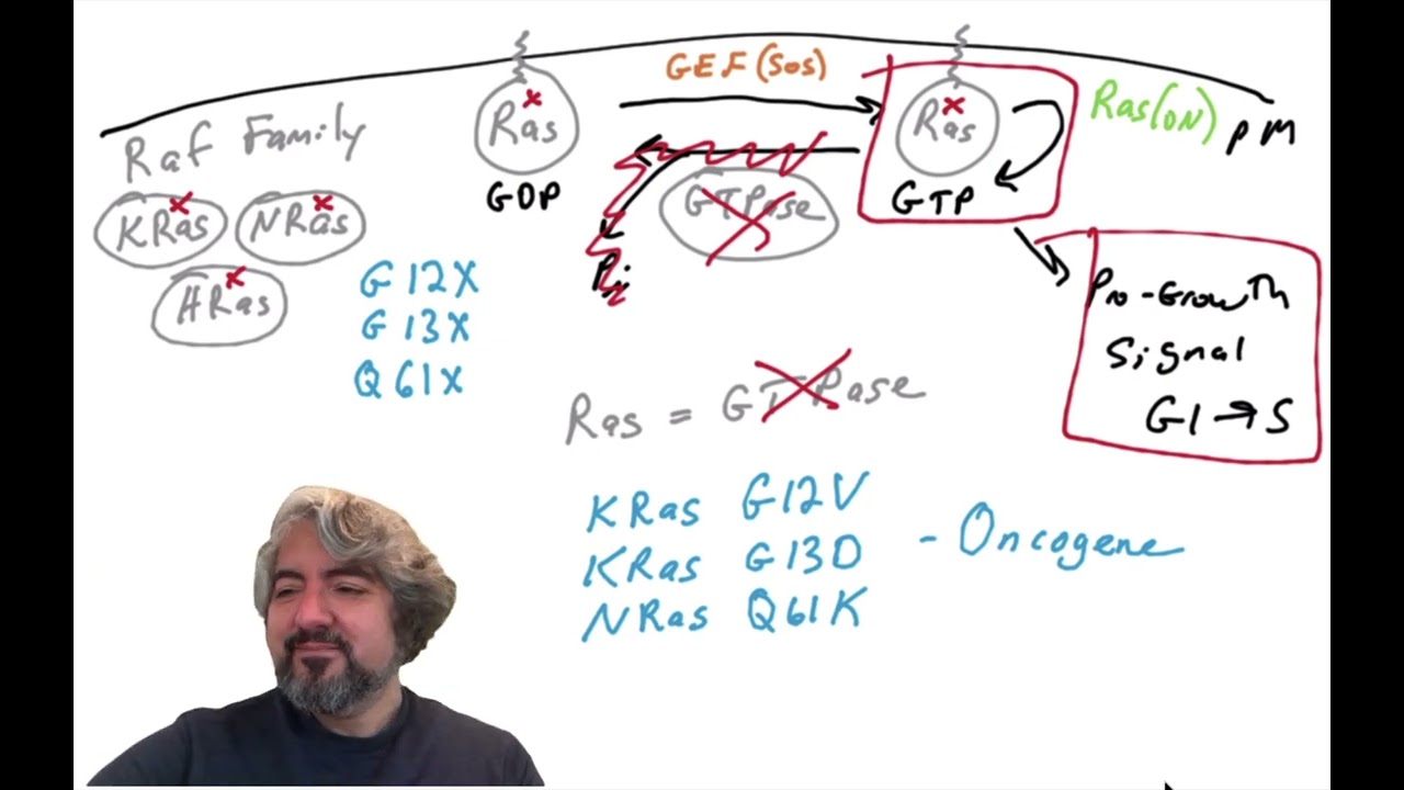 Воздействие на онкопротеин Kras для лечения рака у человека