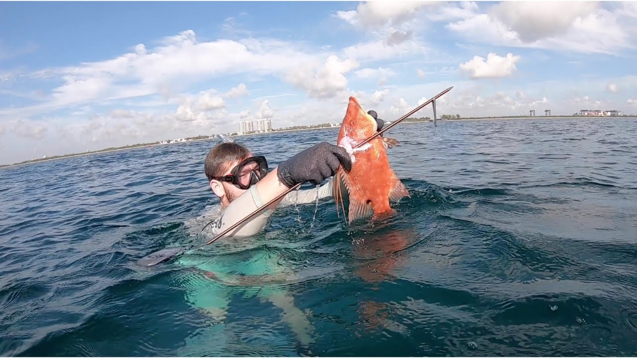 Beach Spearfishing for Hogs and Lobster