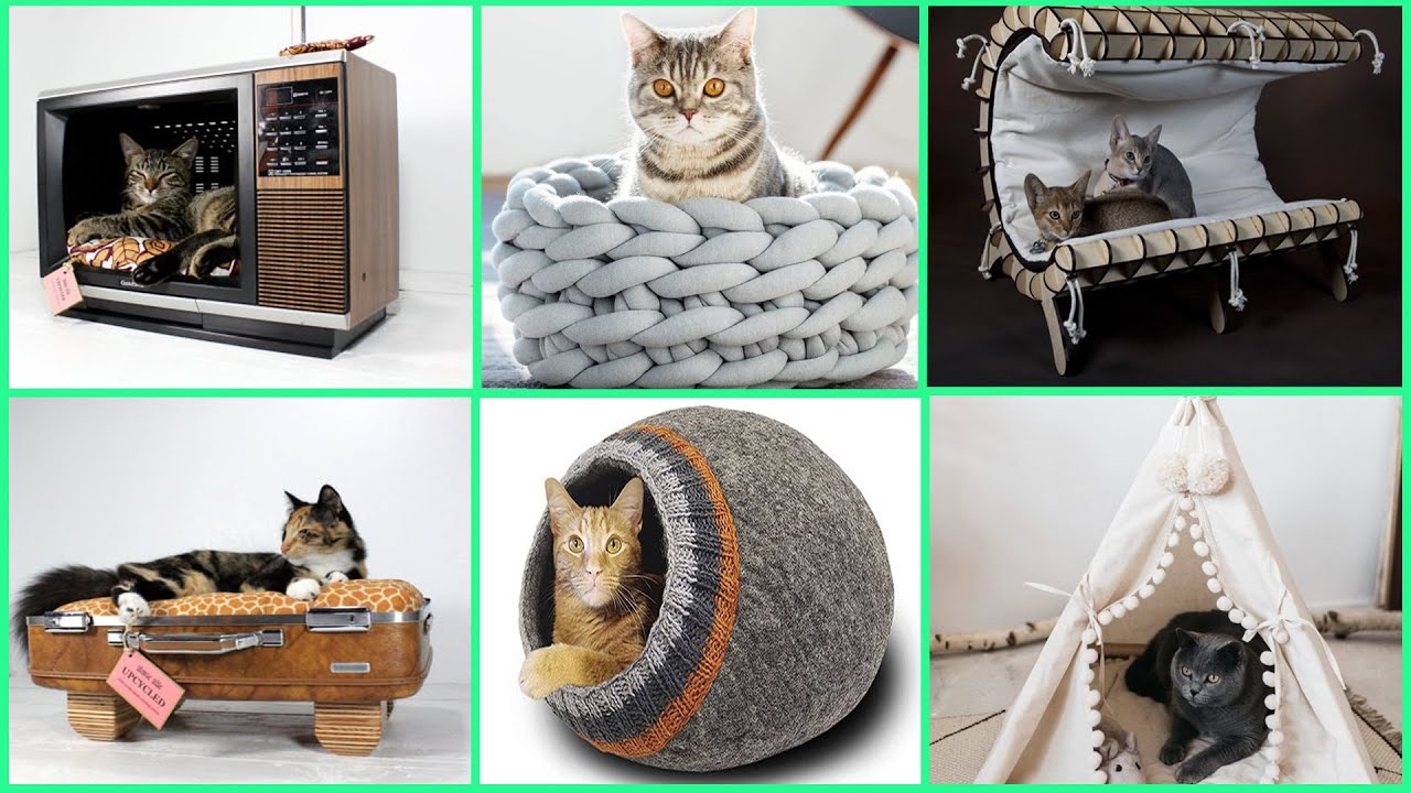 100 Cat Beds Ideas