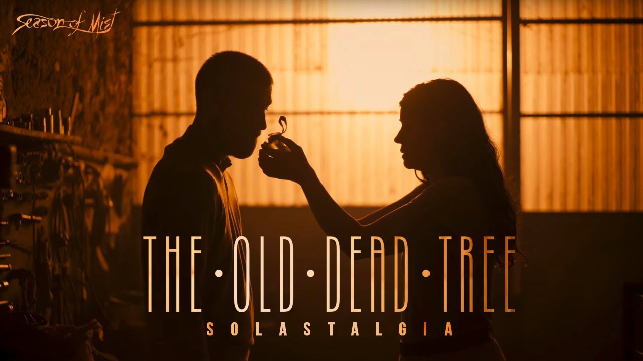 The Old Dead Tree - 