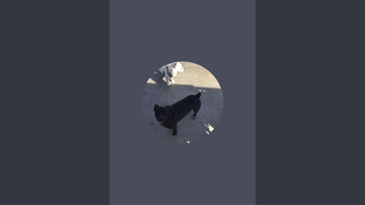 Marie Salazar is live!