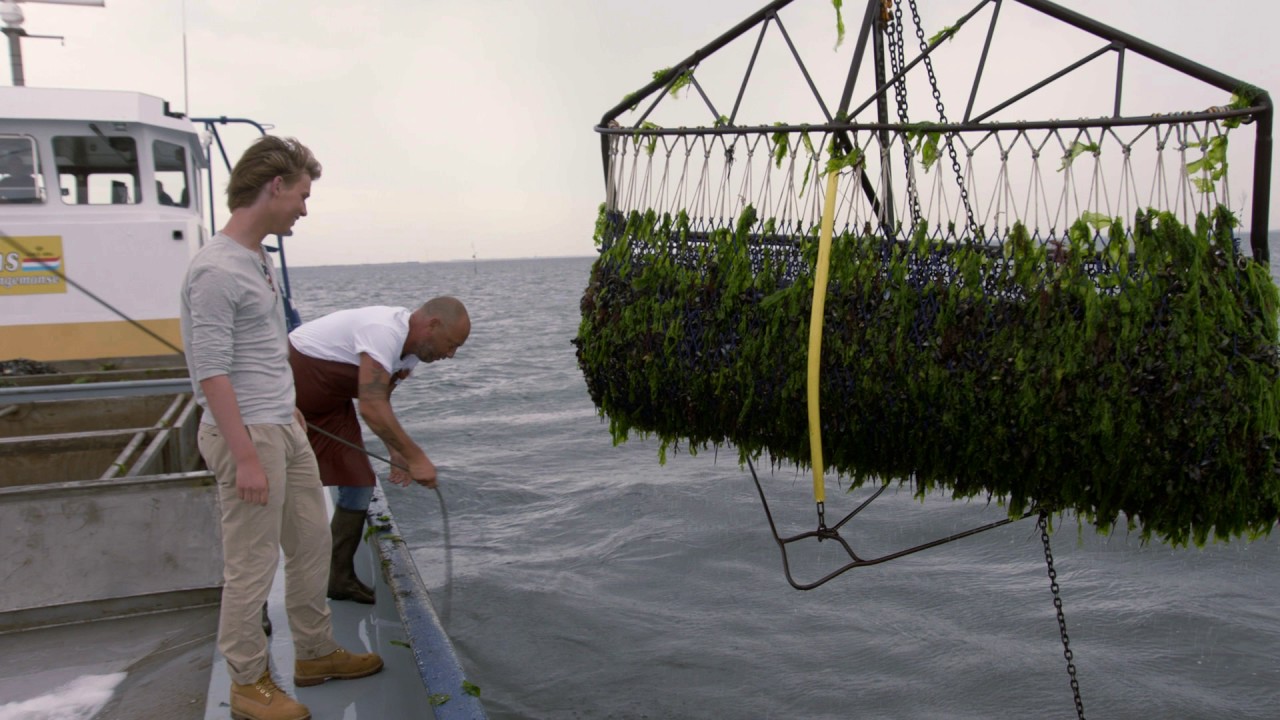 Rollende Keuken 2017 - TV Spot - Dominique x Julius