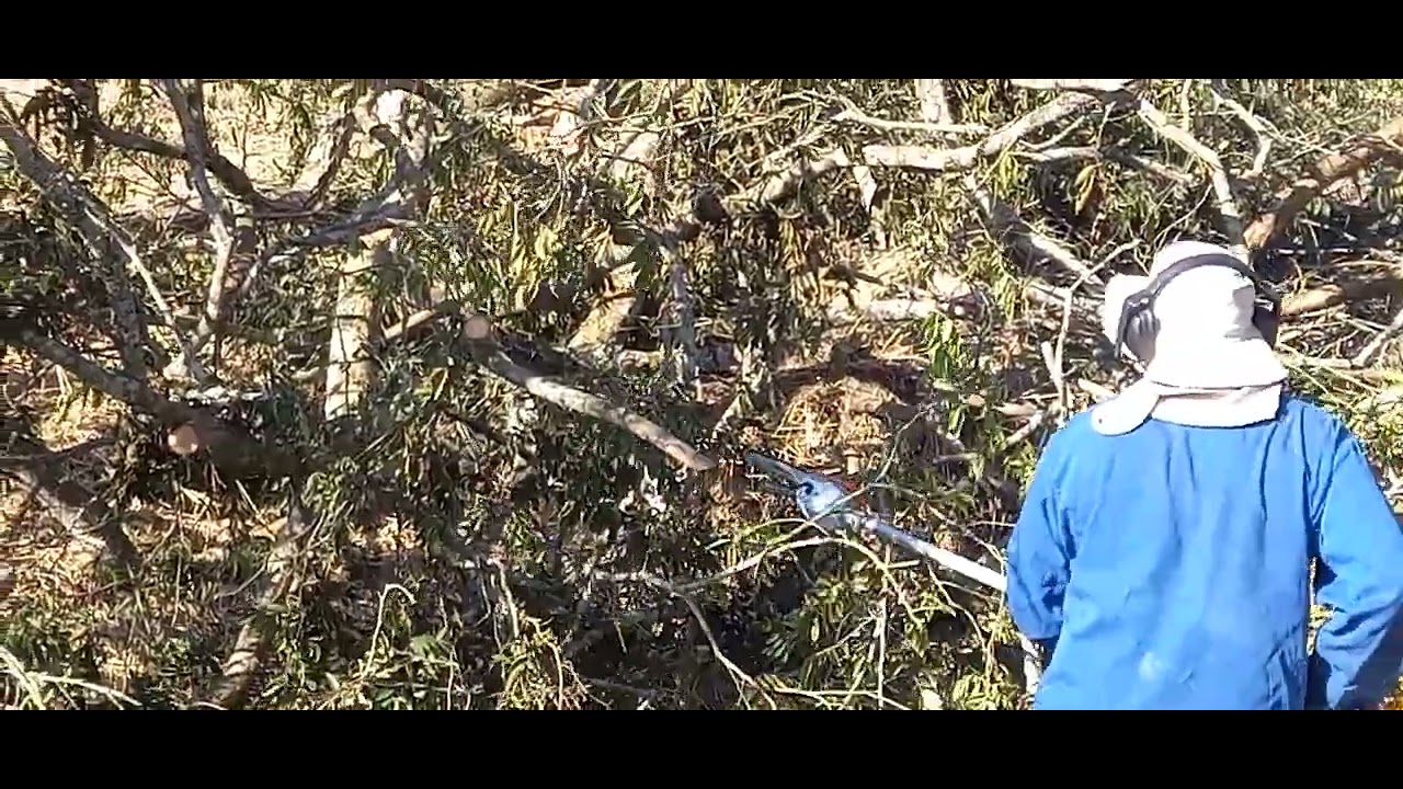 MOTOPODA HT , Multifuncional KA 120 R STIHL