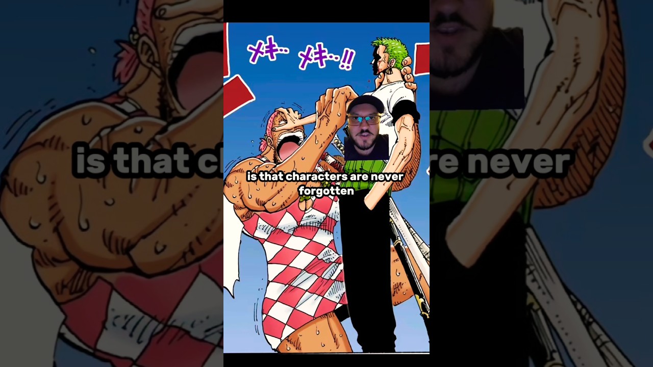 One Piece Characters Are NEVER forgotten 