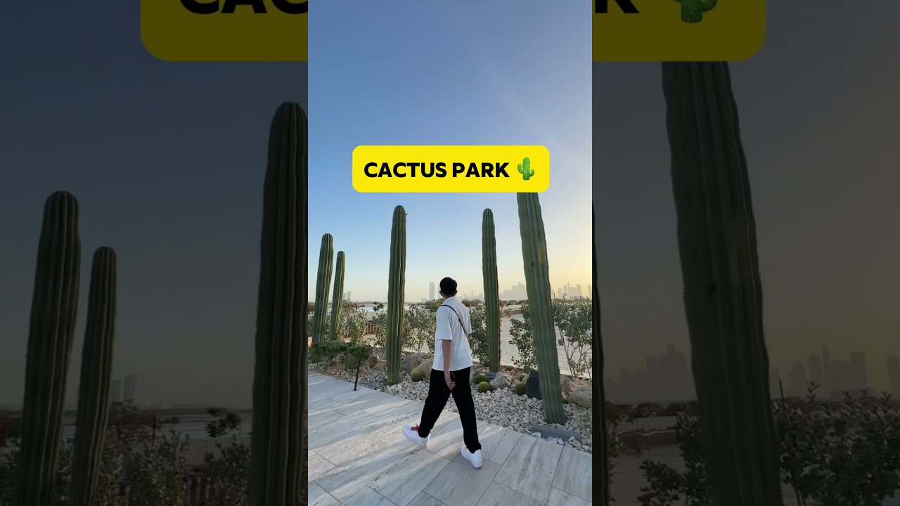 PLACES THAT YOU MUST VISIT, This winter in UAE 🇦🇪