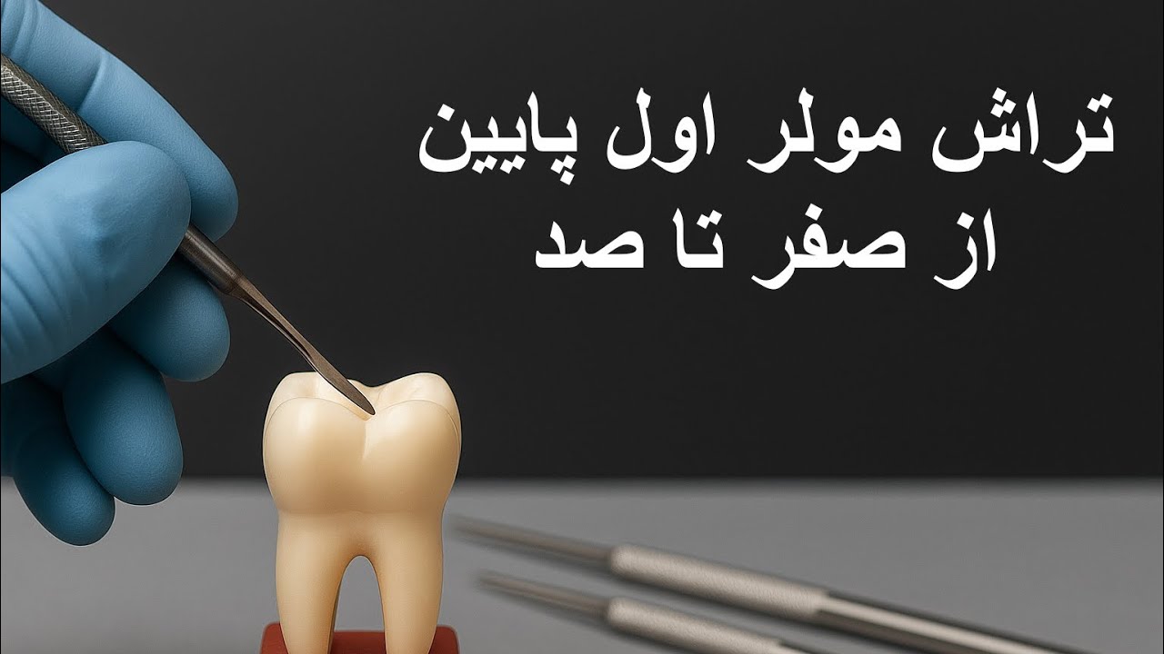 تراش اولیه دندان مولر اول پایین با گچ مورفولوژی