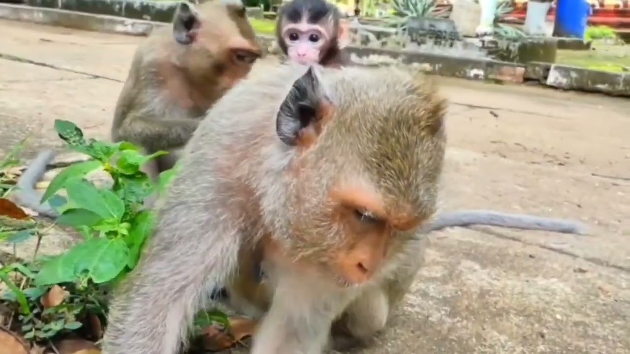 semakin sehat semakin pula ia terampil bergerak
