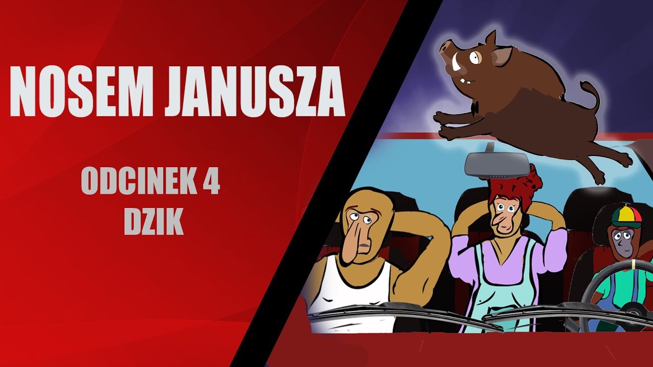 Nosem Janusza odc. 4 - DZIK  - serial animowany | Nosem Janusza