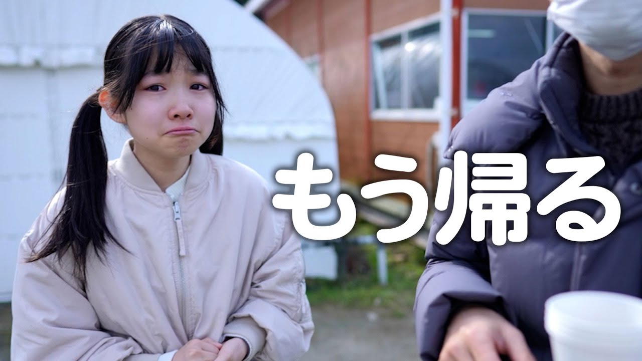 3年ぶりのいちご狩り。いちごが怖くなってしまいました…