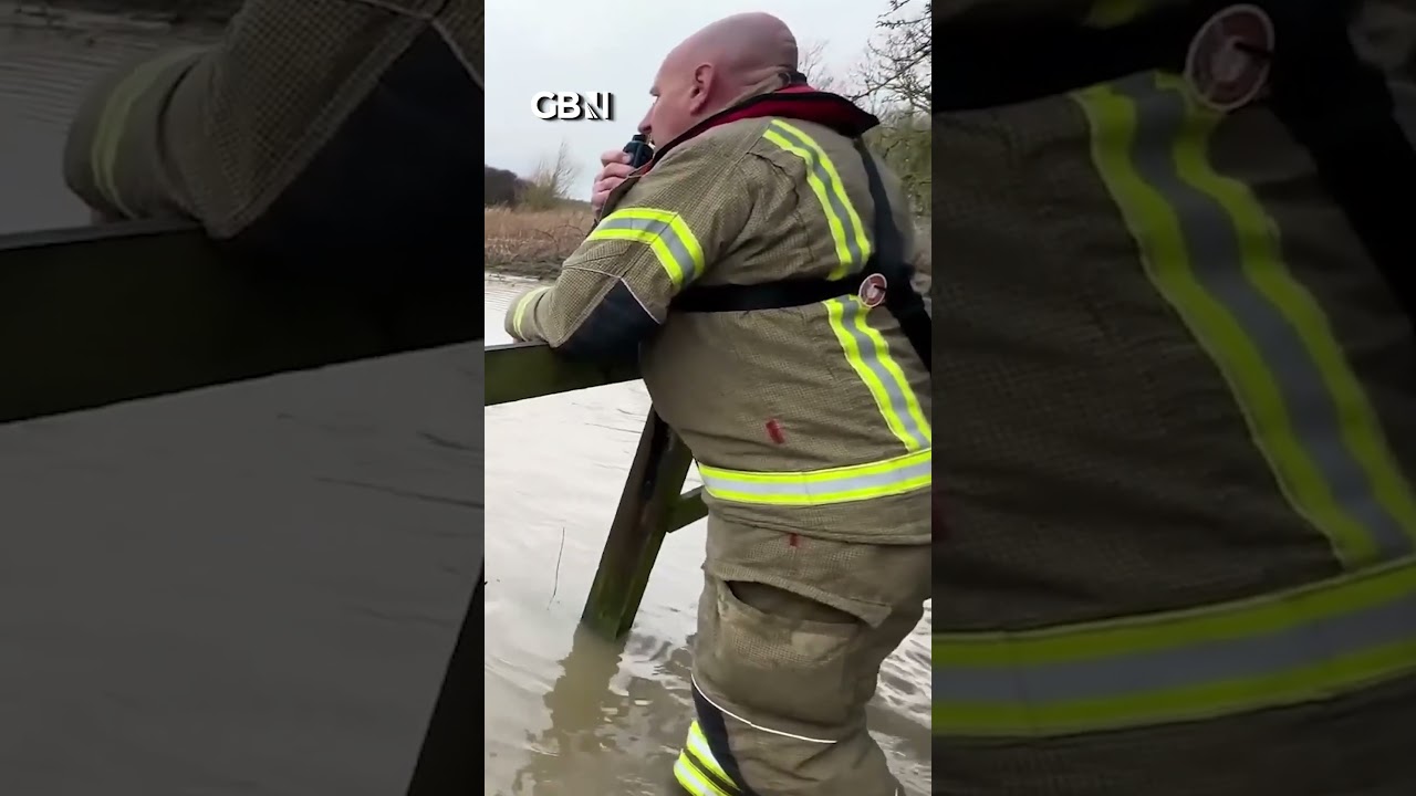 Health and safety GONE MAD as emergency services WATCH CIVILIAN help driver trapped in flooded car