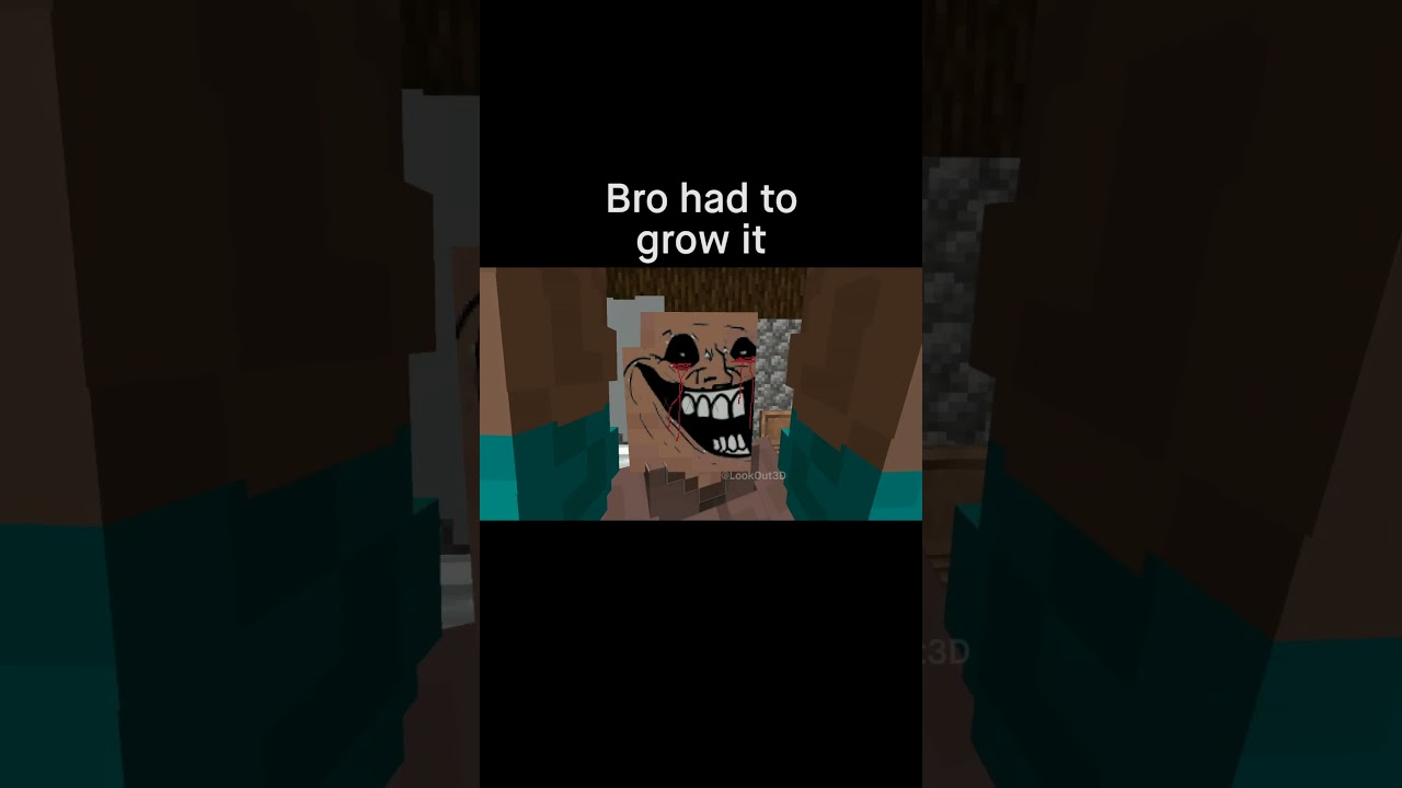 Minecraft Meme