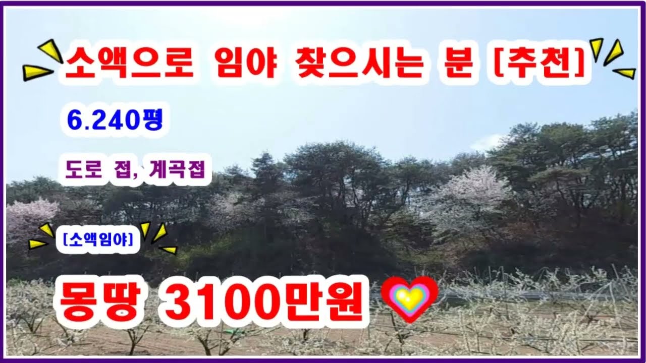 [소액임야] 소액으로 임야를 탖으시는분 추천  6240평 도로접,계곡까지 접 몽땅3100만원