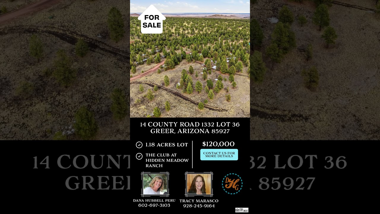 14 County Road 1332 Lot 36, Greer, Arizona 85927- Lot for sale