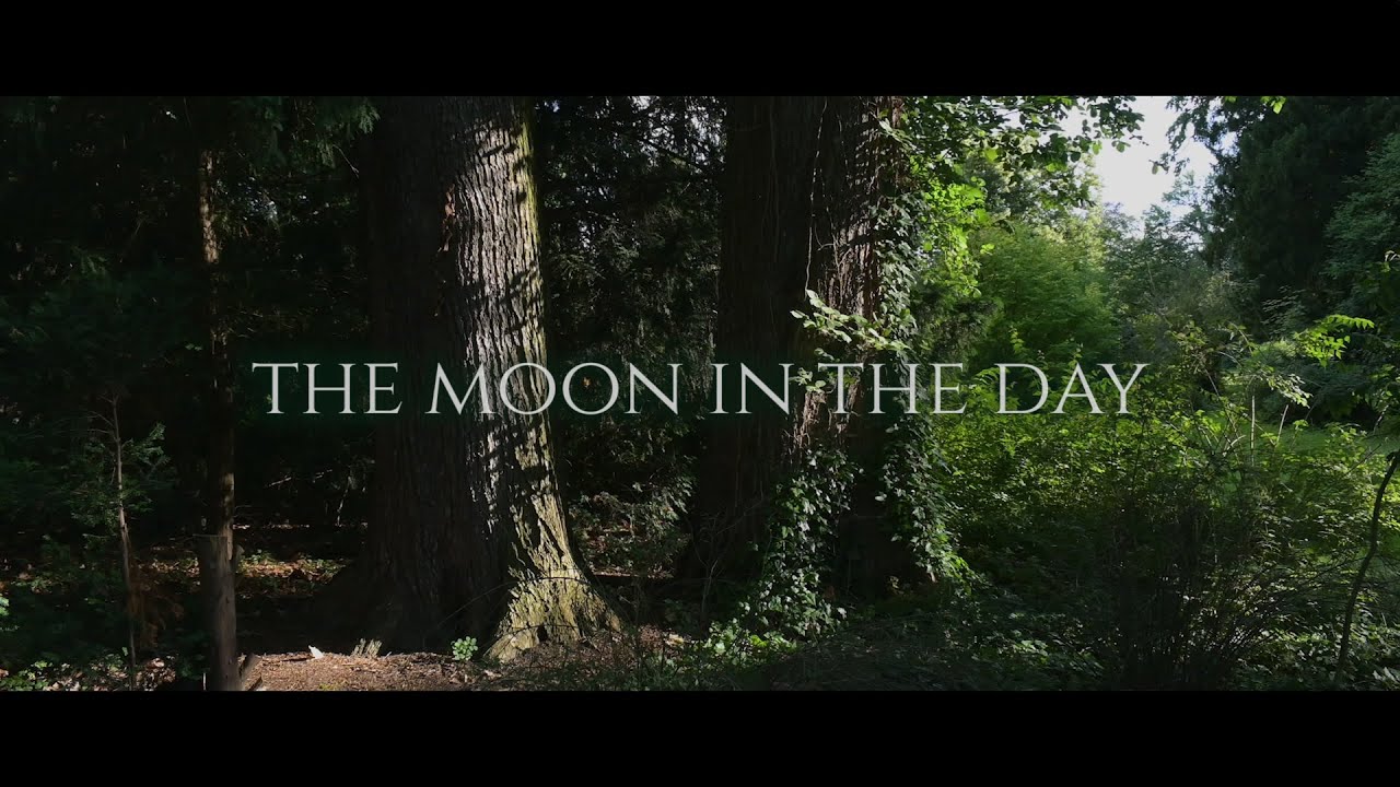 Homemade Movie Score - The Moon In The Day