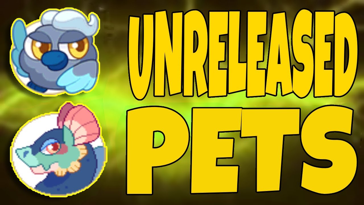 Prodigy Math Game | All Unreleased PETS in Prodigy!