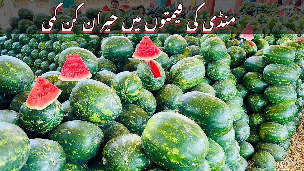 Karachi Sabzi Mandi 6 Mar 2026  rates today| Karachi Fruit Mandi rates todayKarachi