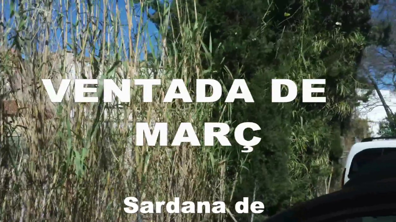 VENTADA DE MARÇ de Emili Saló