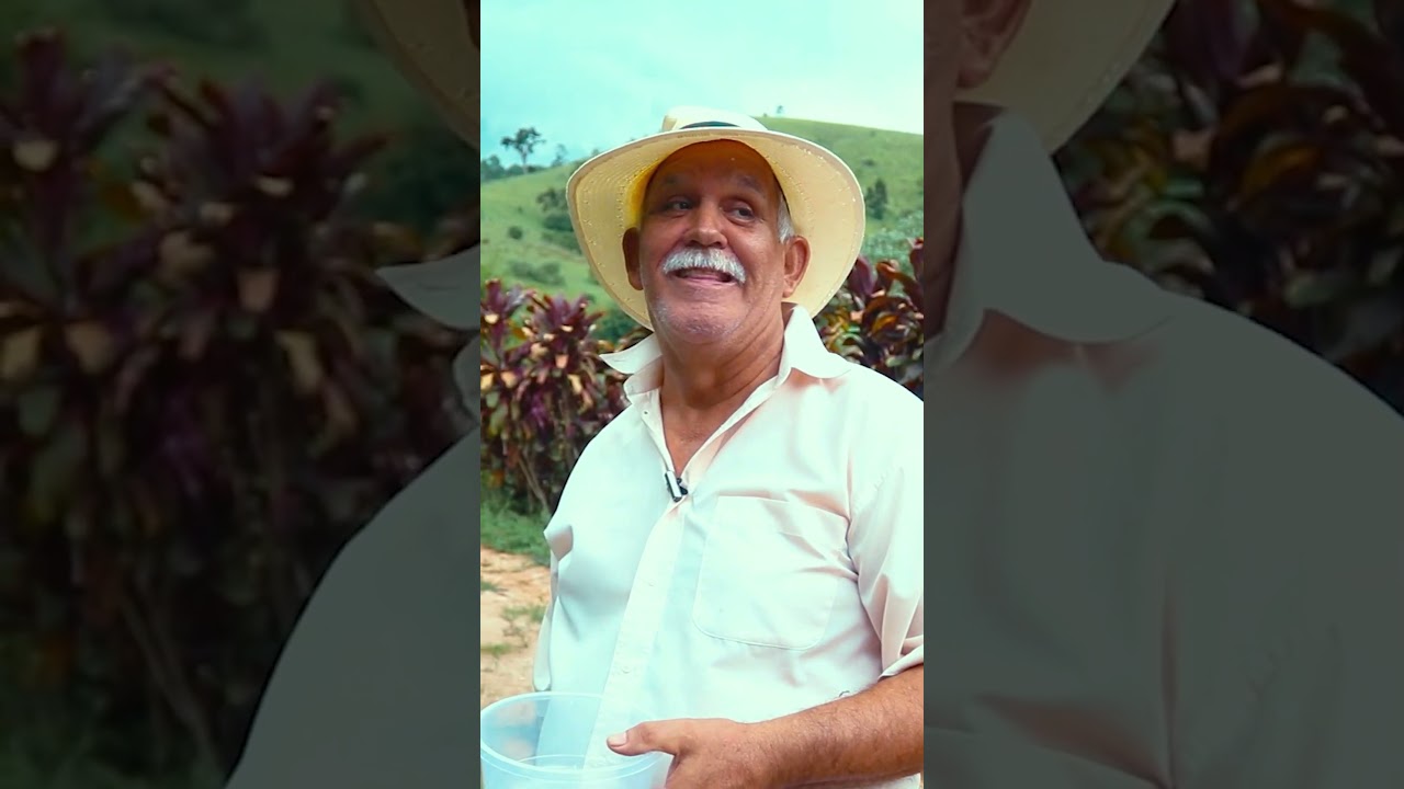 JURUBEBA: O ENERGÉTICO NATURAL QUE TODO HOMEM DEVERIA CONHECER 