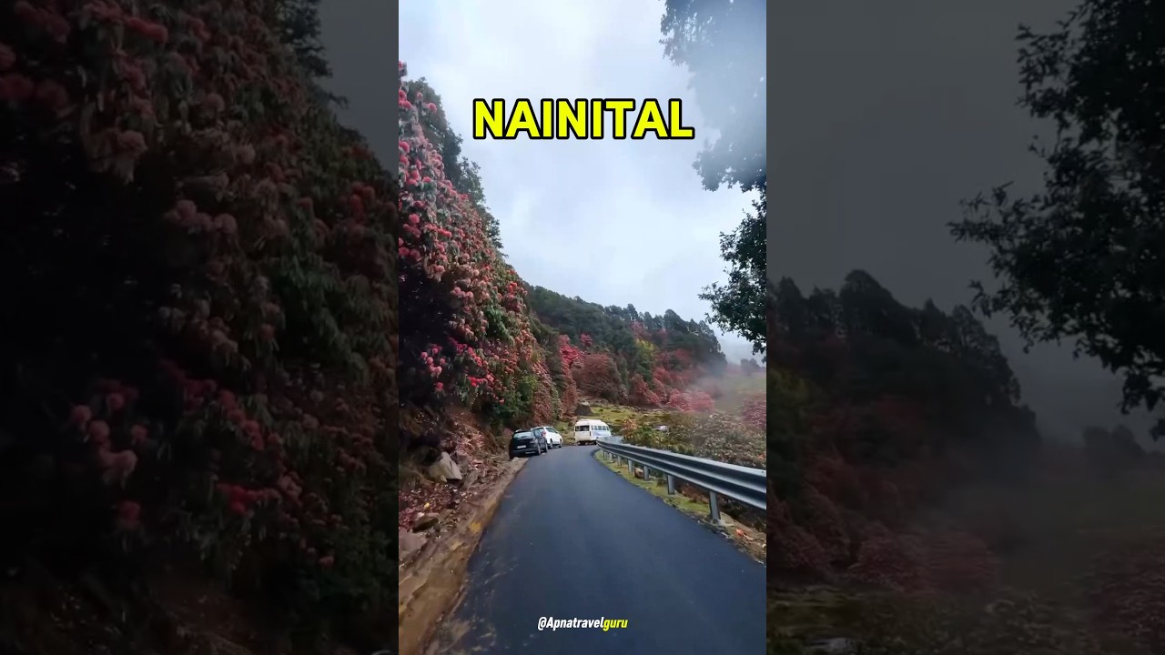 7 Magical Places You Must Visit in Nanital 
