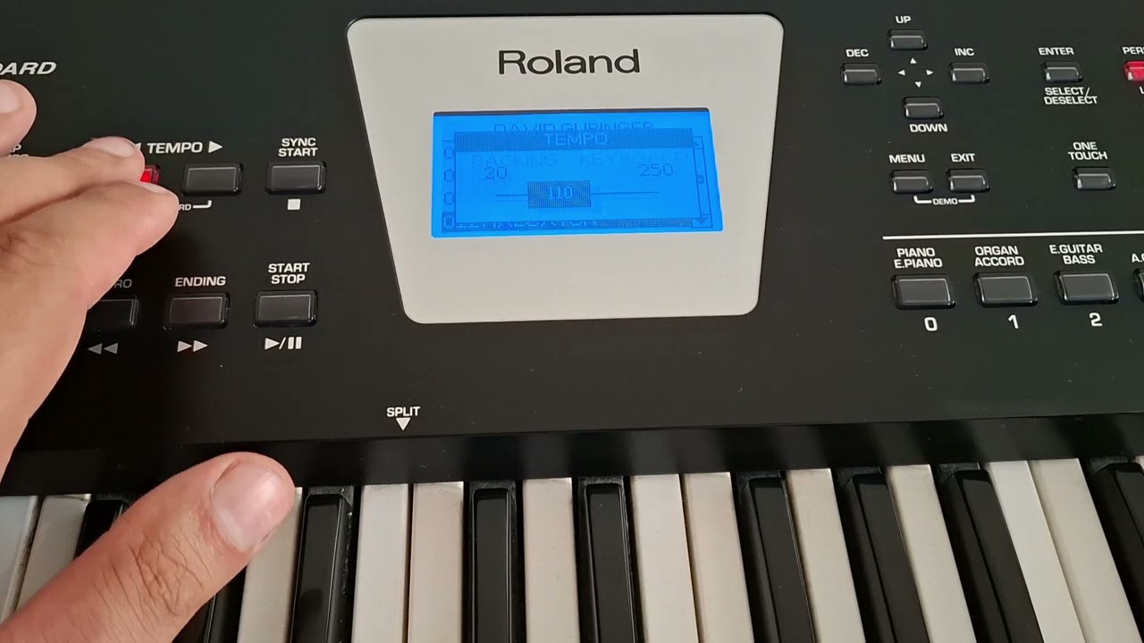 ROLAND BK-3 🎹 DG OLD SET 🎹